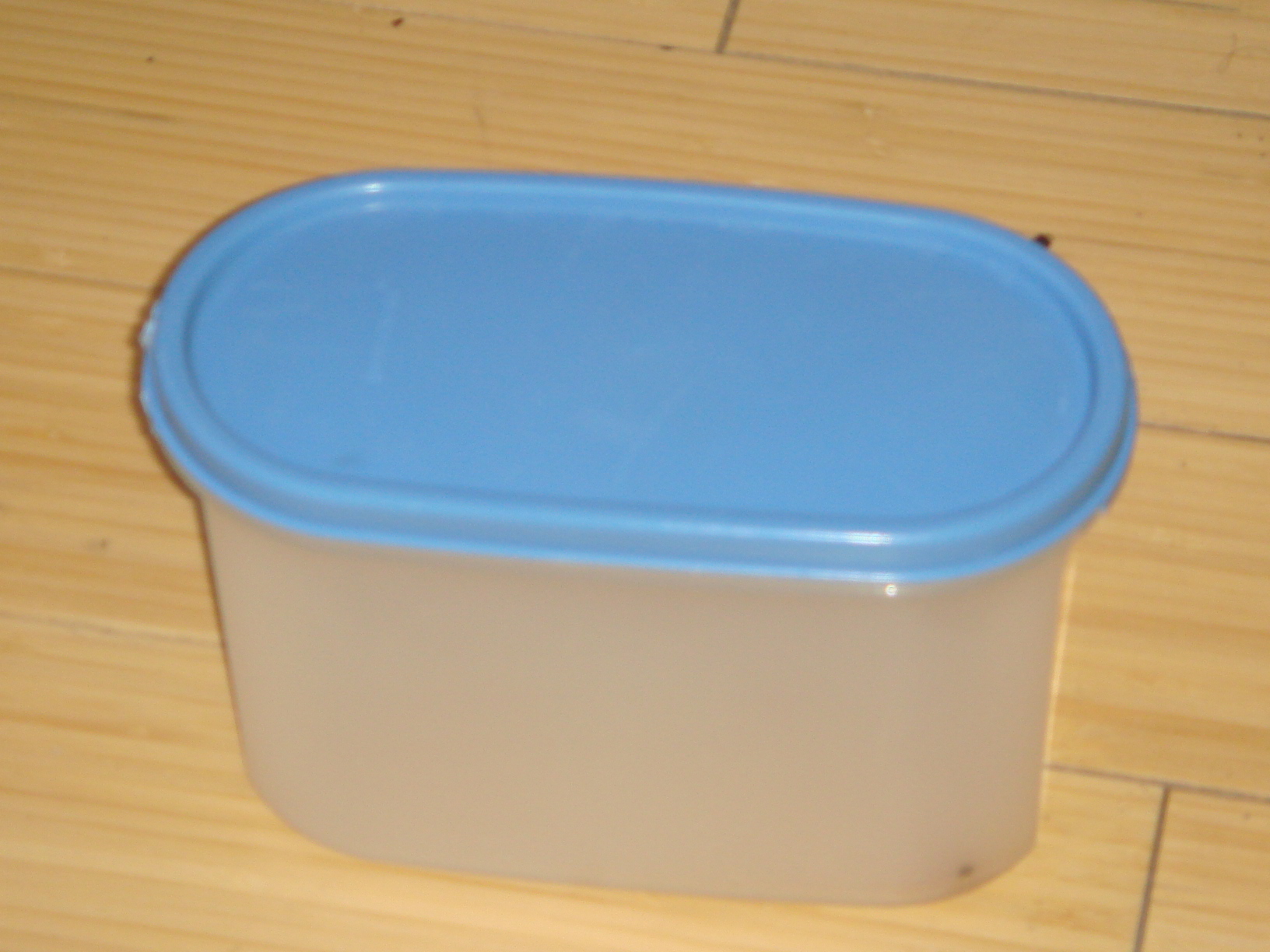 Small_authentic_tupperware.JPG