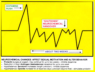 sexualenergy02_02.jpg