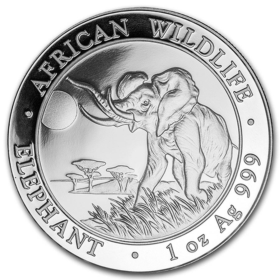 2016-Somali-Elephant-Silver-mockup.jpg