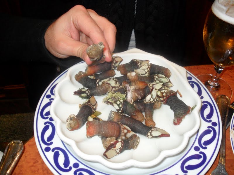 Percebes.iguaria.jpg