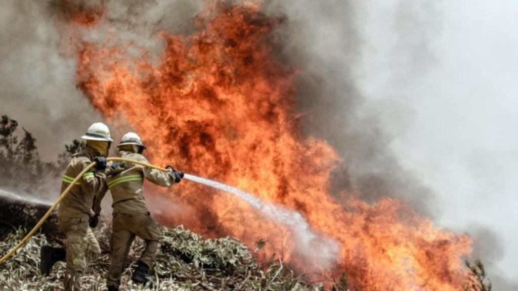 Portugal-Incendios-Tribunales_225741145_37188153_1024x576.jpg