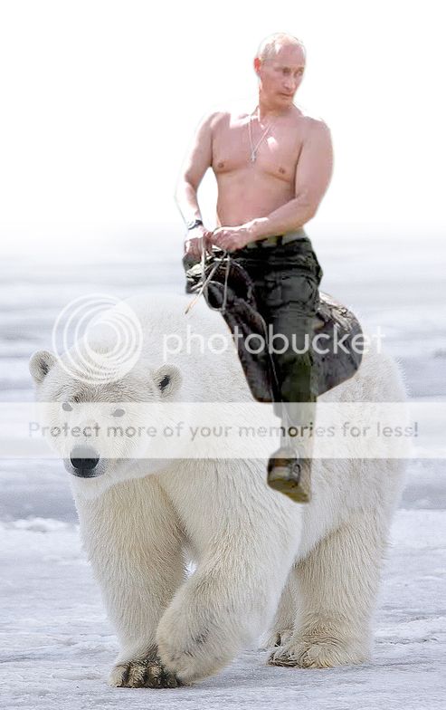 Polar_Bear_Pootie.jpg