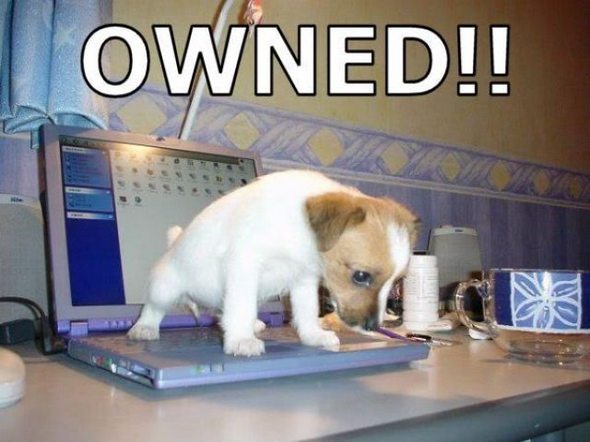 owned-fails-gallery-30.jpg