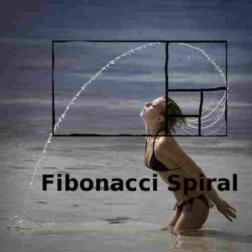 spiral-fibonacci.jpg