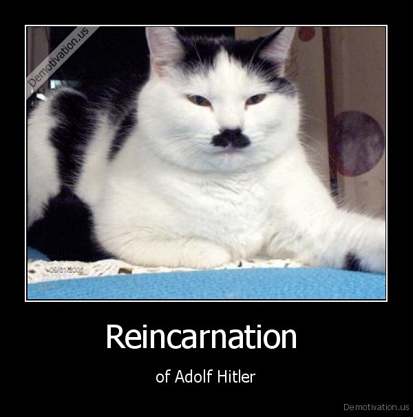 demotivation.us_Reincarnation-of-Adolf-Hitler_130600981499.jpg