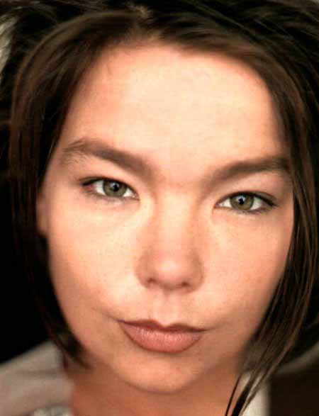 bjork4.jpg