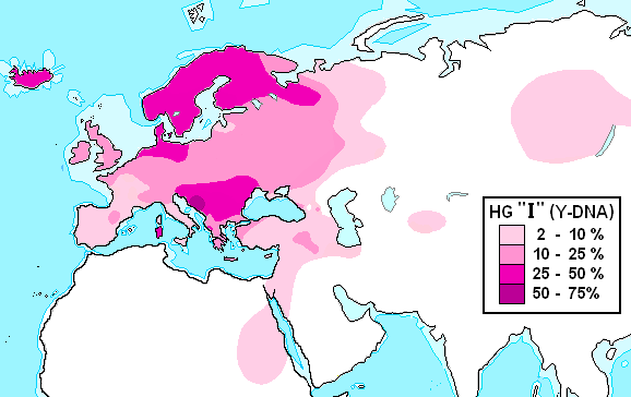 Haplogroup_I_(Y-DNA).PNG