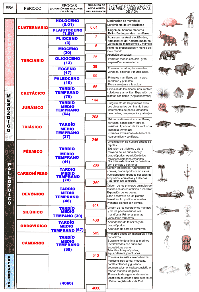 017atiem.gif