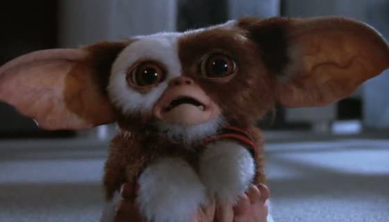 gizmo-acojonao.jpg