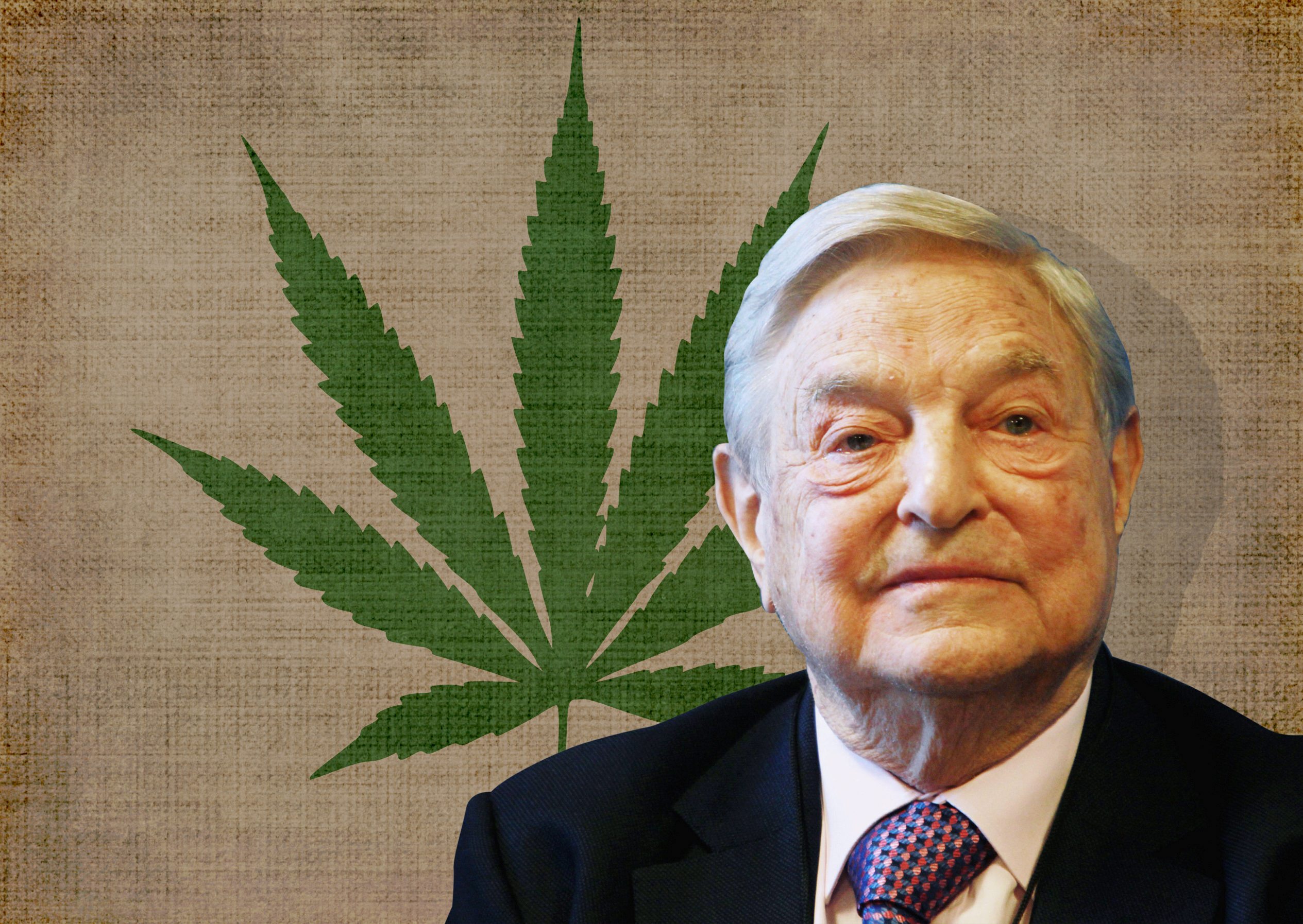 4_2_2014_pot-soros-weed8201.jpg