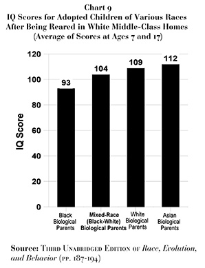 race_intelligence_adoption_rushtonsm1.jpg