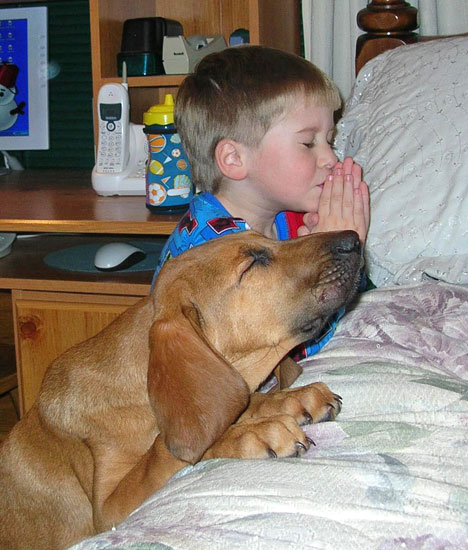 dog_praying_with_a_kid.jpeg