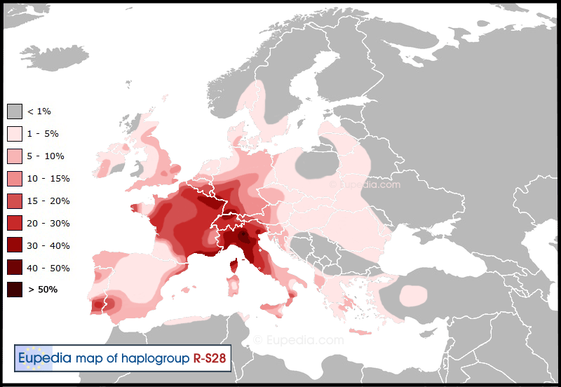 Haplogroup-R1b-S28.gif