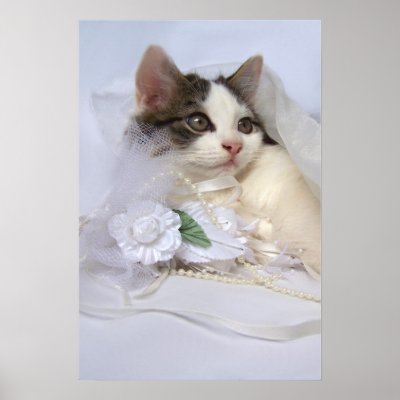 wedding_kitten_fine_art_print-p228628661021030153tdcp_400.jpg